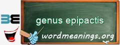 WordMeaning blackboard for genus epipactis